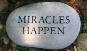 miracle